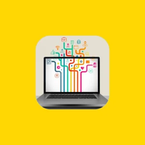 Digital Marketing Expert in Alappuzha